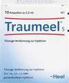 Produktbild: TRAUMEEL S Ampullen 2,2 ml
