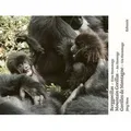 Produktbild: Berggorillas. Gorilles de montagne. Mountain Gorillas