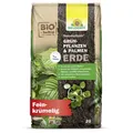 Produktbild: Neudorff NeudoHum Grünpflanzen und PalmenErde 20L Grünpflanzenerde Palmen Erde