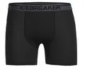 Produktbild: Icebreaker Anatomica Boxers black - Größe XXL 103029