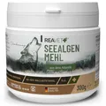 Produktbild: ReaVET Seealgenmehl Hund 300g - Barf Zusatz Mineralien, Rein & Pur, Seealgenmehl für Hunde barfen, Futterzusatz aus Seealgen Ascophyllum Nodosum