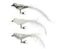 Produktbild: Kaemingk Christbaumschmuck, Christbaumschmuck Glas Vögel auf Clip 8cm 3er Set Silber / Weiß Mix
