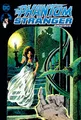 Produktbild: The Phantom Stranger Omnibus