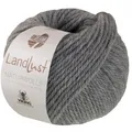 Produktbild: Wolle Kreativ! Lana Grossa - Landlust Naturwolle Fb. 9 grau 50 g