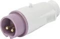 Produktbild: CEE STECKER 2P 16A 24V O.U.