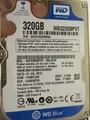 Produktbild: Western Digital 320 GB WD3200BPVT-00JJ5T0 DCM:HHMTJAK 07JUL2013 +083