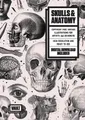 Produktbild: Skulls & Anatomy (Taschenbuch) (US IMPORT)
