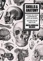 Produktbild: Skulls  Anatomy: Copyright Free Vintage Illustrations f... | Buch | Zustand gut