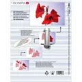 Produktbild: 100 OLYMPIA Laminierfolien glänzend für A4 125 micron