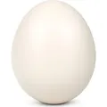 Produktbild: Echtes Straußenei natur 1A Qualität – ausgeblasen & gereinigt – Deko Ei XXL - Beige