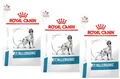 Produktbild: 3 x 3 kg Royal Canin Anallergenic (€ 15,99/kg) Veterinary Diet für Hunde