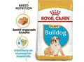 Produktbild: ROYAL CANIN Bulldog Puppy 12 kg