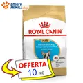 Produktbild: Royal Canin Hund → Puppy Bulldogge Französisch - 10 KG - Unterstützung Für Hund,