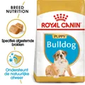Produktbild: Royal Canin Bulldogge Welpe - 12 kg