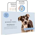Produktbild: Wisdom Panel zur Feststellung von Hunderassen DNA-Test-Kit – präzise Rassen-ID MDR1 Abstammung Verwandte