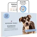 Produktbild: Panel zur Feststellung von Hunderassen DNATestKit – präzise RassenID MDR1 Abs...