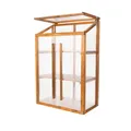 Produktbild: QLS Mini Gewächshaus für Balkon Holz & Polycarbonat 80x42x121 cm für Pflanzen