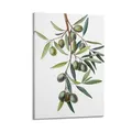 Produktbild: HNPBB Poster mit Vintage-Pflanzen, Motiv: Olivenmalerei, Poster, dekorative Malerei, Leinwand, Wandposter und Kunstdruck, moderne Familienschlafzimmer-Dekoration, Poster, 50 x 75 cm