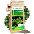 Produktbild: Purgrün® Muschelzypresse-Dünger 1 kg – Organisch-mineralische Rezeptur – Feinkörniges Krümelgranulat – NPK 9+4+8 – Extra Magnesium für leuchtend grüne Nadeln – Verbessert die Bodenqualität