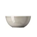 Produktbild: Thomas Daily Moon Grey Schüssel 24 cm Daily Moon Grey 10853-401919-13324