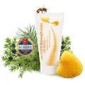 Produktbild: API-REGENT® Echte Bienengift-Salbe – mit Bienengift & ätherischen Ölen – kühlende Pflege für Muskeln & Gelenke – 100% natürlich – Made in Germany – ohne Konservierungsstoffe –50 ml