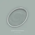 Produktbild: Wandfarbe Grün matt | The Color Kitchen Unique Eucalyptus | Innendispersion