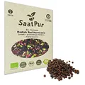 Produktbild: Red Hurricane BIO Keimsprossen von SaatPur - Radies Sprossen, Microgreens - 30g