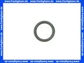 Produktbild: 92602000 Hans Grohe O-Ring Thermostat DN15