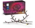 Produktbild: Philips Hue Festavia Lichterkette 20m