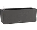 Produktbild: Balkonkasten Lechuza Balconera Stone 50 H 19 cm schwarz inkl. Erdbewässerungssys