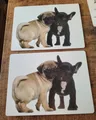 Produktbild: 2 x Große Tischsets 30x40 Mops Französische Bulldogge Bully Hund Kork Abwaschbar