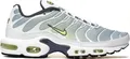 Produktbild: Nike Air Max Plus TN Wave Grid Pebble Grey Lime Steel Herren - 42