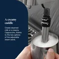 Produktbild: DeLonghi Classic EM450.M - Kolbenmaschine