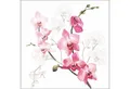 Produktbild: Ambiente Luxury Paper Products Papierserviette, Servietten Papier 33x33cm 3-lagig mit Orchideen Motiv 20 Stück