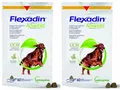 Produktbild: 2 x FLEXADIN Advanced Adult Dog 60 Chews für Hunde bei Osteoarthrose