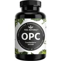 Produktbild: OPC Traubenkernextrakt – 240 Kapseln mit 1000mg OPC Extrakt – Höchster OPC Ge...
