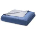 Produktbild: Biederlack Wohndecke Recover Doubleface 150x200 cm | blue-silver - blau