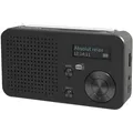 Produktbild: Telestar Radio Top 100 DAB+, Bluetooth, schwarz
