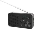 Produktbild: Telestar TOP 100 Schwarz Akku-Radio DAB+, UKW Bluetooth, USB Akku-Ladefunktion, wiederaufladbar, Weckfunktion Schwarz
