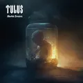 Produktbild: Tulus Morbid Desires 12