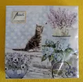 Produktbild: 20 Servietten Katzen KITTEN 1 Packung OVP Veilchen Blumen Biene Tiere cats Ambi