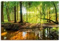 Produktbild: Artland Wandbild Wald mit Bach, Wald (1 St), als Alubild, Leinwandbild, Poster in verschied. Größen