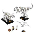 Produktbild: LEGO® Ideas 21320 Dinosaurier-Fossilien NEU OVP