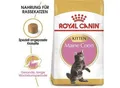 Produktbild: ROYAL CANIN Maine Coon Kitten 4 kg