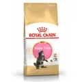 Produktbild: ROYAL CANIN Maine Coon Kitten 4kg Trockenfutter für Kätzchen bis 15M Maine Coon