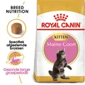 Produktbild: Royal Canin Maine Coon Kitten - 4 kg