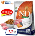 Produktbild: Farmina Dog N&D Pumpkin Adult Medium / Maxi → Lamm Und Heidelbeere - 12 Kg Hund