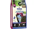 Produktbild: Hundefutter trocken bosch Junior Lamm & Reis 1 kg