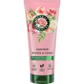 Produktbild: Herbal Essences Conditioner Softness Rose Aroma Tube 250 Ml (250 ml) (54956441)