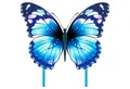 Produktbild: LuxusKollektion Flug-Drache Flugdrachen Schmetterling Kinder Erwachsene Blau